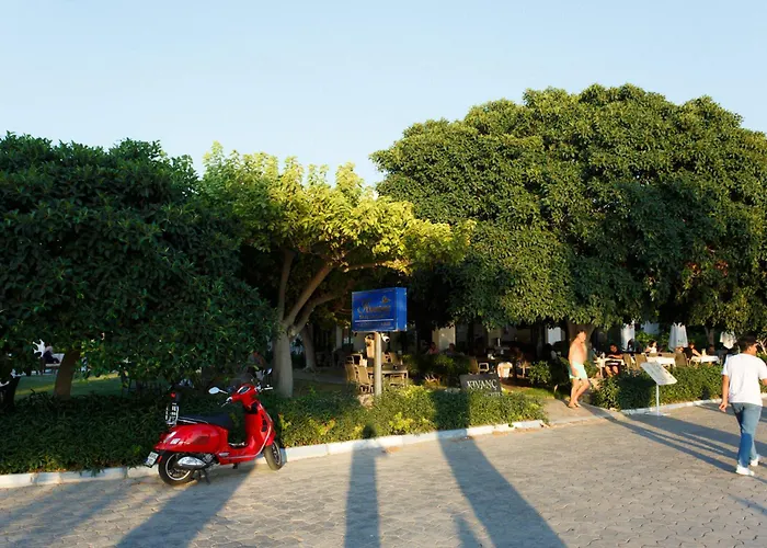 Kıvanç 3*