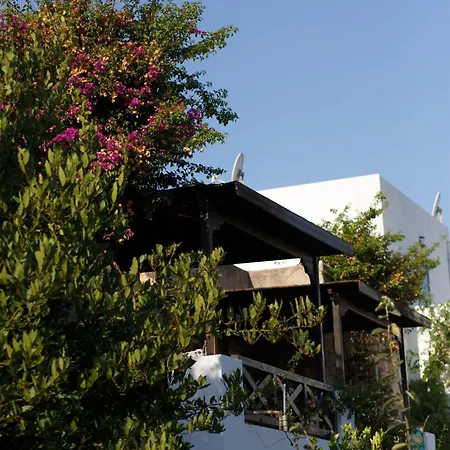 Kıvanç