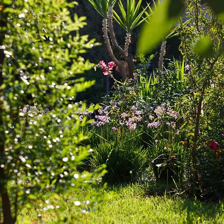 Kivanc Szálloda Bodrum