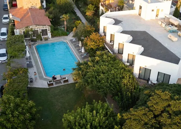 Kivanc Αλικαρνασσός