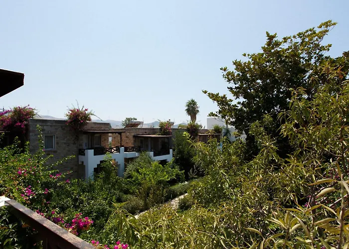 Ξενοδοχείο Kivanc 3*