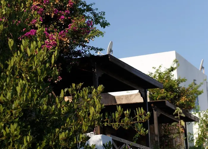 Kivanc